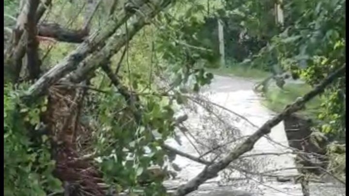 В унесенной машине было 4 человека: В Сочи ищут трех унесенных в авто людей