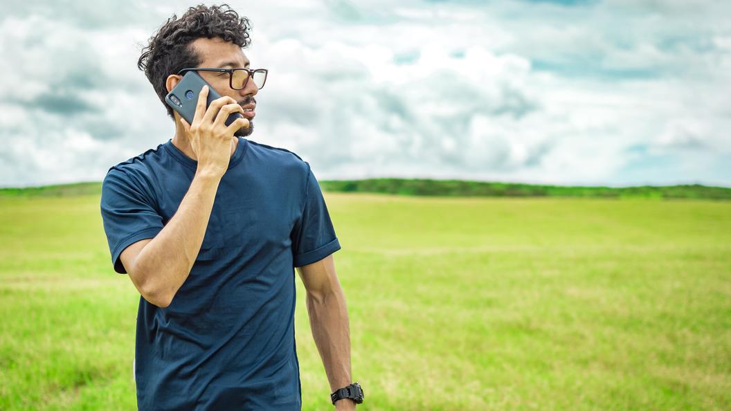 Кертис стоун. Поле риса. Field call. Field call. Экология сельского хозяйства.