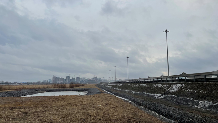 Во Владимирской области заброшена почти половина сельскохозяйственных земель