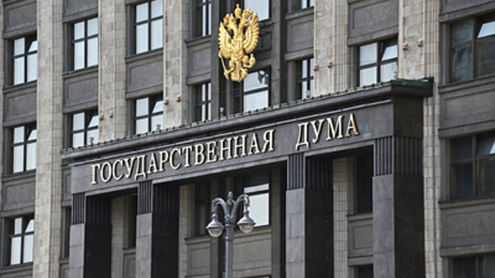 Детей мигрантов смогут лишать гражданства? Проект закона внесён в Госдуму