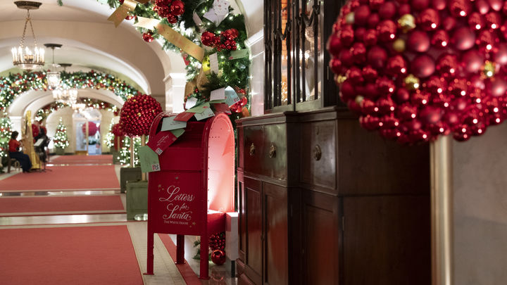 Не выдержала: Главная ёлка Вашингтона рухнула перед церемонией Байдена