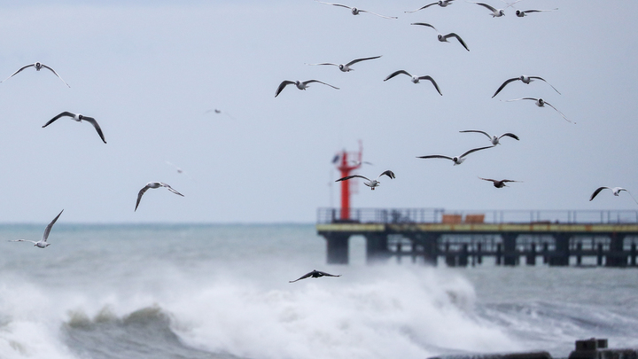 Небратский Нептун уничтожен у Крыма: Вражеская атака отбита
