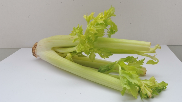 Токсиколог перечислил 7 продуктов, помогающих восстановить печень