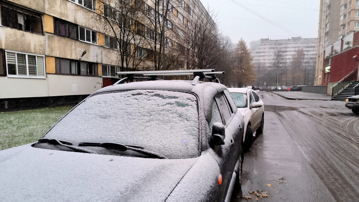 Сдвиг по погоде. Ленобласть за один день переживёт зиму, весну и осень