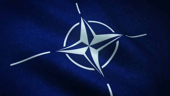 Восемь стран НАТО выступили с совместным заявлением после атак дронов