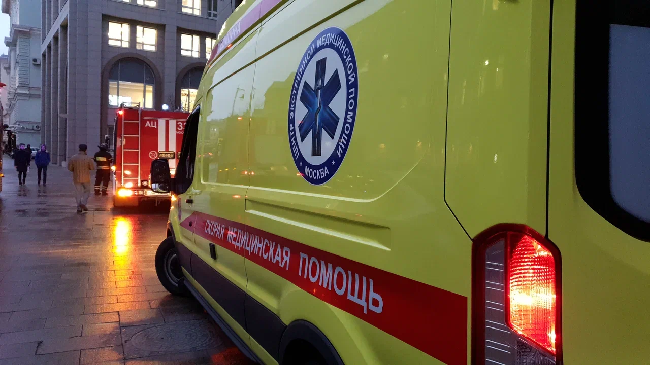 Пермяк, сообщивший о минировании своего дома, не не захотел ехать в отдел из-за черепахи Валеры
