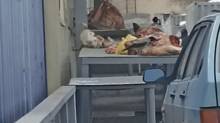 Увидели мясо и ужаснулись: житель Магнитогорска выложил в соцсеть фото с рынка