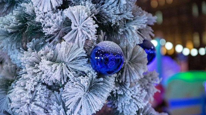 Готовь сани летом! Челябинцы решат, каким будет ледовый городок на площади Революции