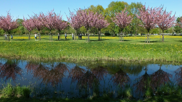 Каникулы не для всех: В Калининграде власти отменили майские выходные
