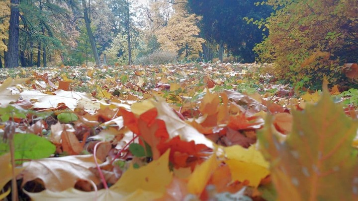Народные приметы: 17 октября - день, когда устанавливаются холода