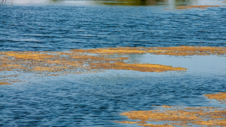 Назло России затопим Прибалтику. Киев подсказал США хитрый трюк, чтобы не пустить русских в Европу