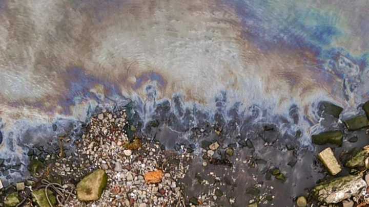 Вот это сокровища: Что цунами выбросило на курильское побережье