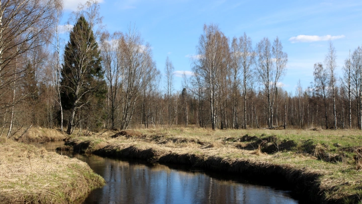 Если нас не найдут живыми, простите, мы вас любим: Две сестры застряли посреди тайги без связи, еды и спичек