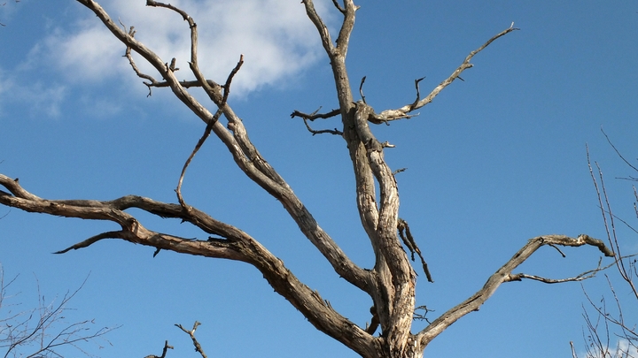 Европе грозит потеря основного ресурса. Россия точно не виновата