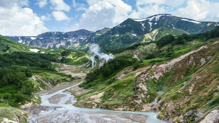 Пробы всё подтвердили: Назван состав ядовитого бульона у берегов Камчатки