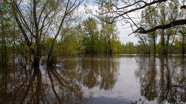 В Кунгуре из реки выловили тело мужчины, пропавшего месяц назад