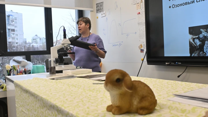 Не груби: Правила по защите чести педагогов разработают до начала нового учебного года