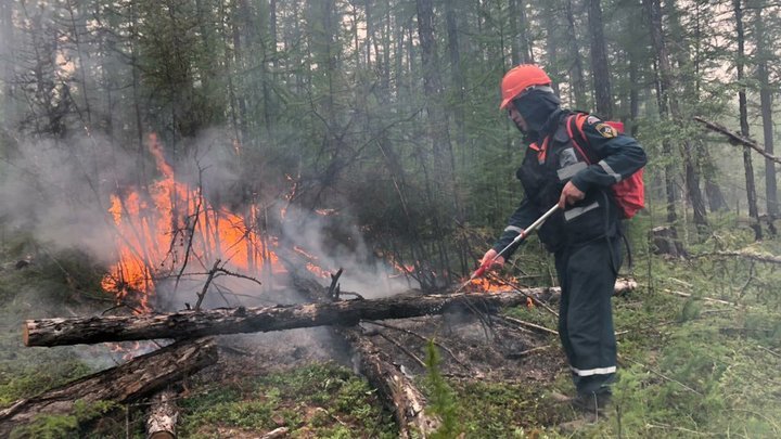 В Ростовской области объявили штормовое предупреждение из-за большого риска пожаров