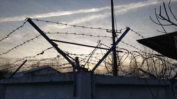 План Марина Овсянникова всё? Скандальная дама с плакатом арестована