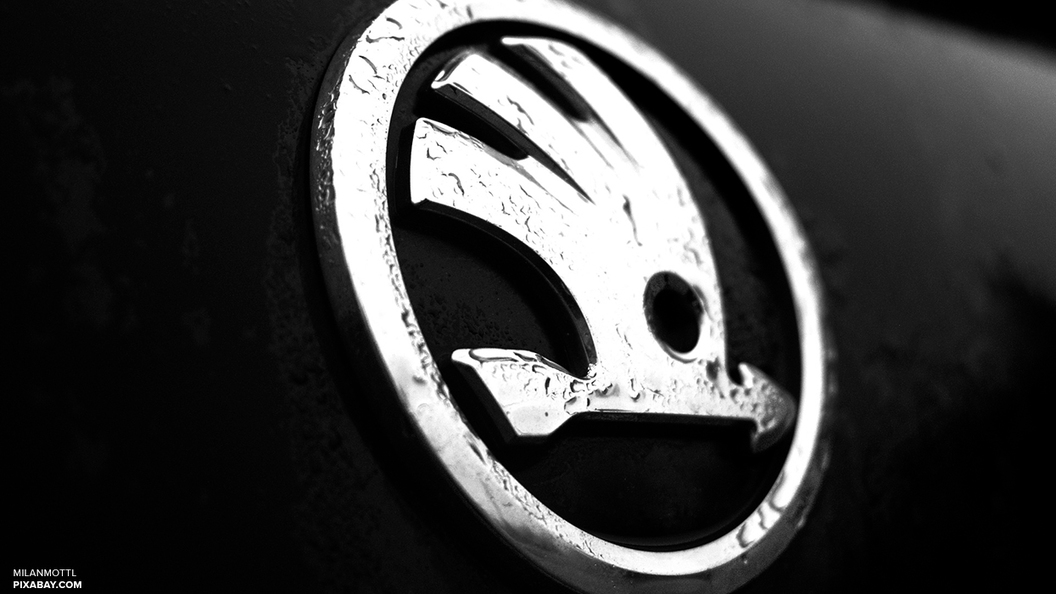 Skoda показала фото первого электрокара с 300-сильным мотором Skoda показала фото первого электрокара с 300-сильным мотором