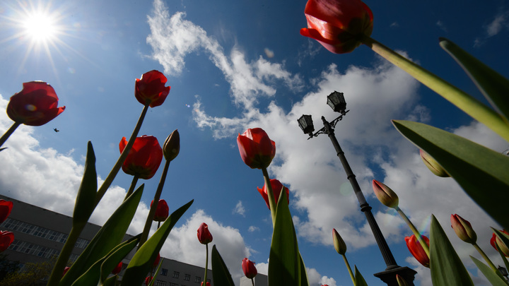 В майские праздники внесут изменения. Пару выходных украдут?