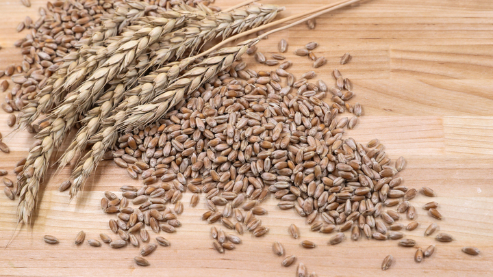 Словакия нашла пестициды в украинском зерне. Задержана вся партия