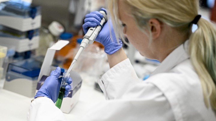 Серьёзные нарушения в работе мозга: Русские учёные обнаружили новые последствия коронавируса