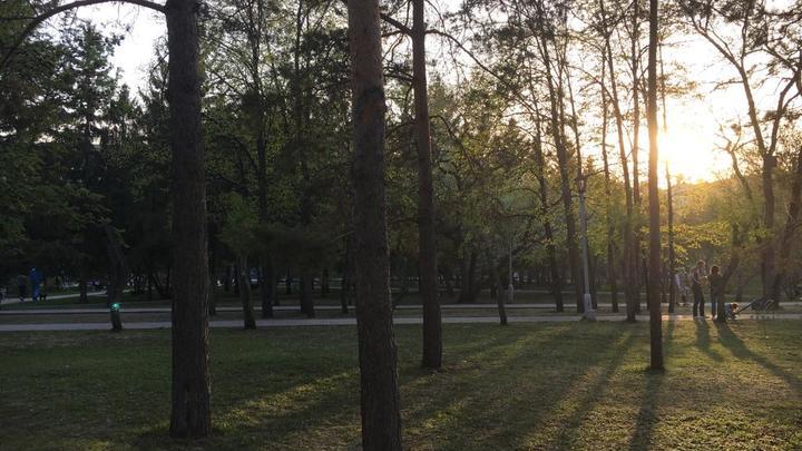 В последние дни лета Новосибирск накроет волна тепла