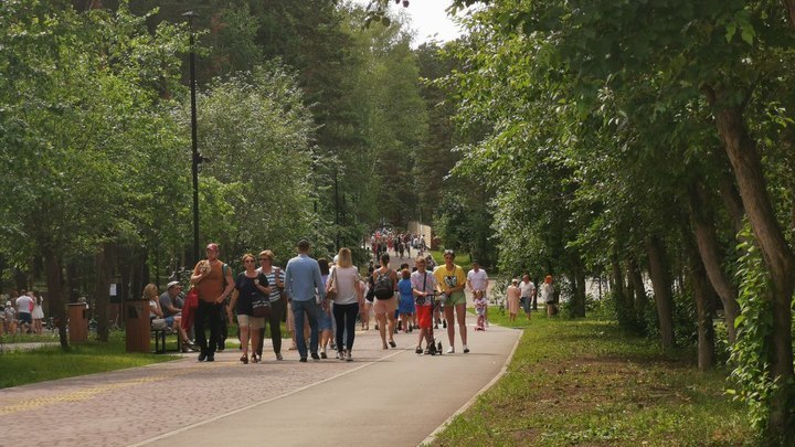Стало известно, сколько скверов в Новосибирске можно озеленить за год