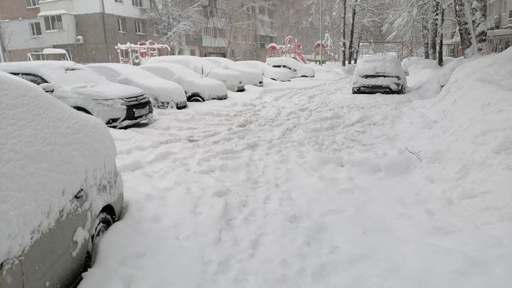 В Самаре МП Благоустройство ищет подрядчика для вывоза снега до конца 2023 года