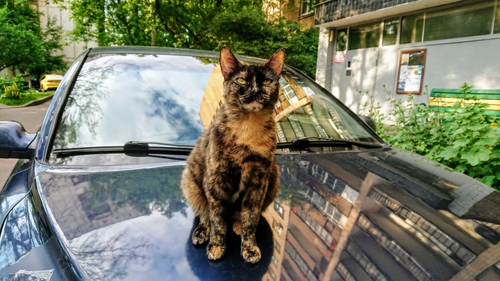 Угрозу реформе техосмотров нашли в неожиданном месте: Проблема неустранима?