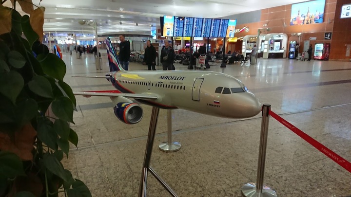 Тяни вверх!: Boeing 737 чуть не врезался в землю в Москве - СМИ