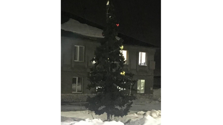 В Кемерове больница решила убрать новогоднюю ёлку после критики в соцсетях