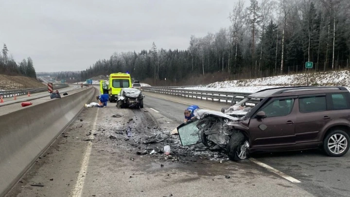 Три человека погибли в аварии на трассе М-11 в Подмосковье