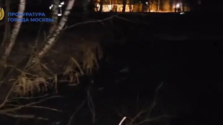 Тела девочки 7 лет и мальчика 8 лет обнаружили в пруду в Щербинке