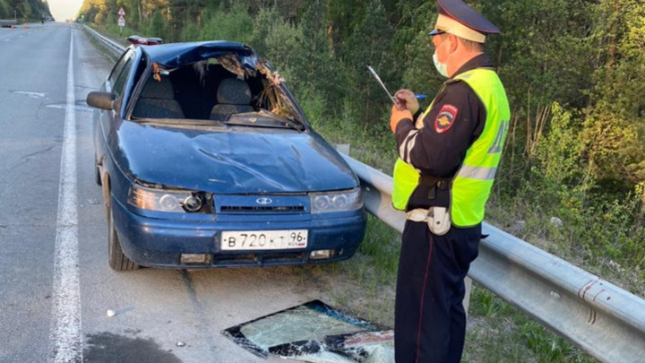 Четыре человека пострадали в аварии с лосем в Свердловской области