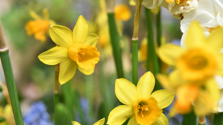 По-летнему жарко: на Кубани в выходные воздух прогреется до +28 градусов