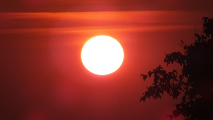 Алкоголь в жару ещё опаснее: Нарколог предупредил о последствиях