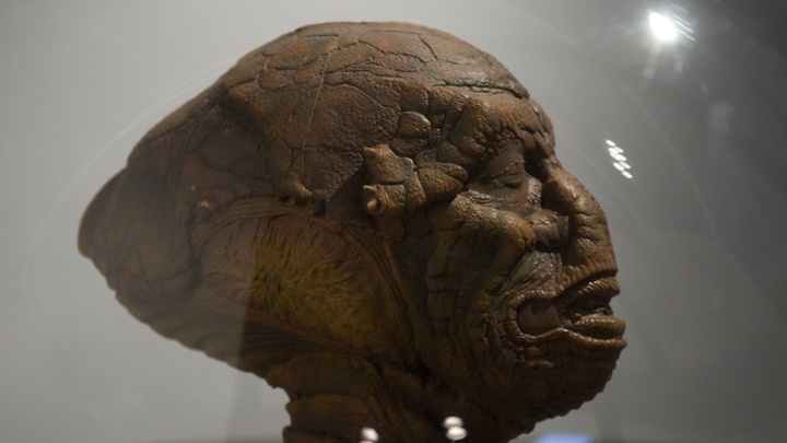 Мексиканский уфолог Мауссан показал Конгрессу мумии двух инопланетян