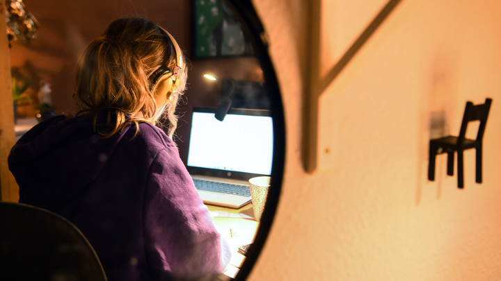 В таком масштабе впервые: Эксперт указал на особенность прошедшего онлайн-голосования