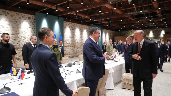 Пустой дипломатический бульон: Пинчук высказался по сути переговоров в Стамбуле