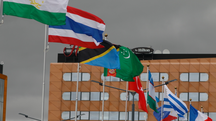 Разрушитель санкций ЕС и США: Журналист заявил, что БРИКС строит мосты