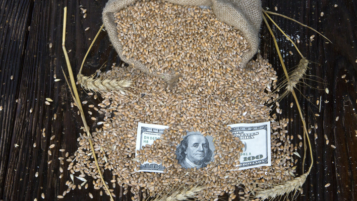 Бунт на корабле: Зерновая сделка продолжается. Чем ответит Россия