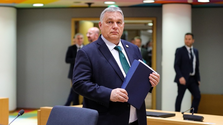 В МИД Украины нахамили Орбану