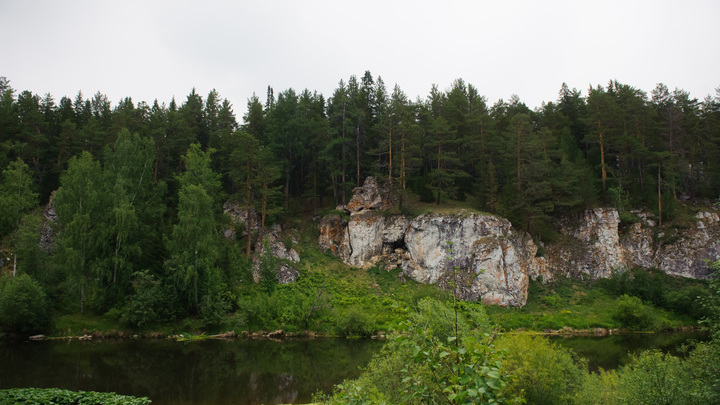 В Прикамье объем инвестиций в лесную промышленность вырос в полтора раза
