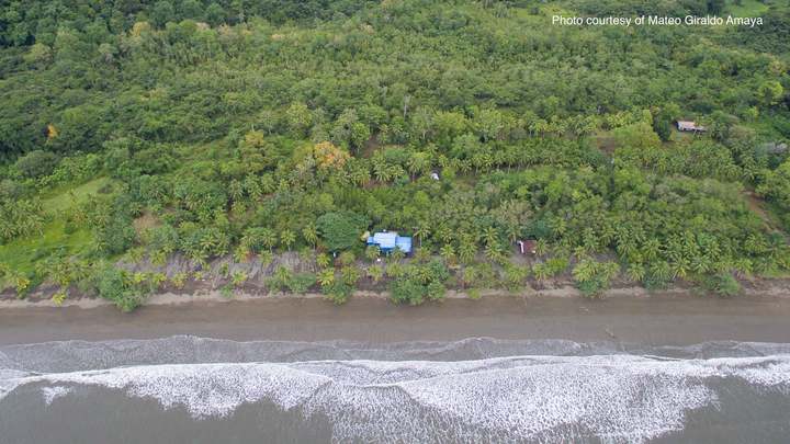 Жертвой военного преступления впервые стала река. И это не шутка