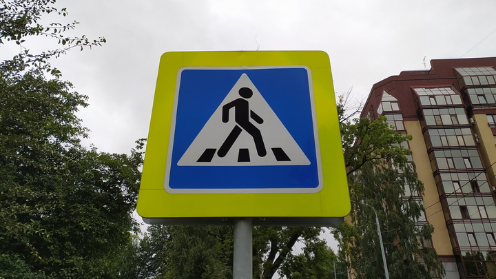 Мелитопольские школьники приняли участие во Всероссийском форуме Я выбираю ЮИД