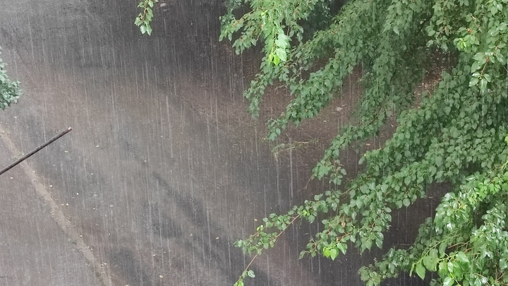 Сильный дождь в Ростове 23 сентября: когда закончится, последствия
