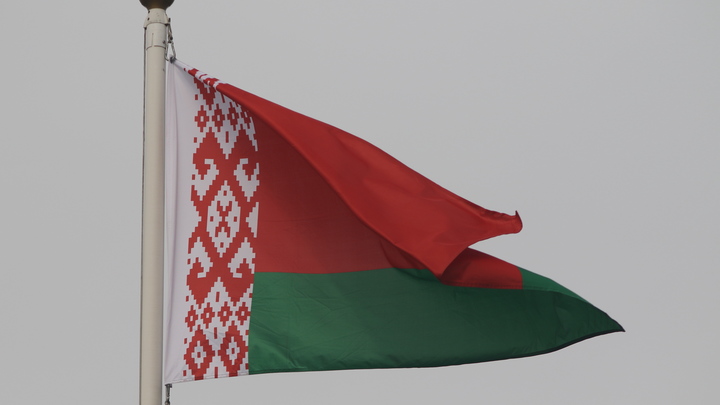 МЧС Белоруссии спасло жизни трёх человек, вытащив из-под завалов в Турции