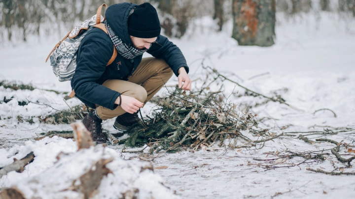 Тайна новых поисков семьи Усольцевых напугала жителей таежного поселка